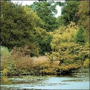 A Chinese farmer has trained which of his animals to dive into a pond as a way of attracting visitors to his farm and raising the price of his livestock?