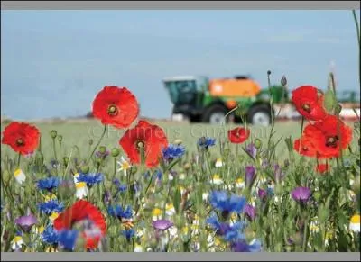 ACCORDING to organisers, Jersey's agricultural West Show may not return until when because of damage to a field?