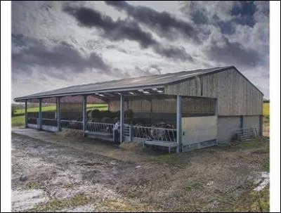 FARMERS are being asked to search their outbuildings and fields as police hunt for a missing pensioner in Merseyside. How old is David Hannam?