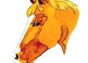 Quiz Galop 2 - Théorie