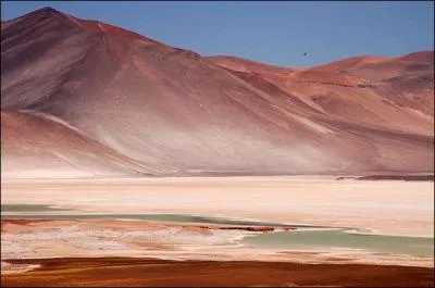 Which desert does not belong to Chile's national territory?
