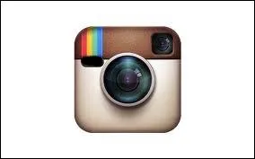 ___ is the name of this logo.