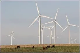 What does this picture?