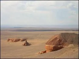 The Gobi desert is a vast region which encroaches on several Asian countries. It is up to you to choose the intruder among these three proposals: