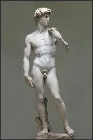 What is the name of the beautiful ephebe made by Michelangelo, a masterpiece of Renaissance sculpture ?