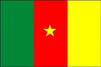 Which country does this flag belong to?