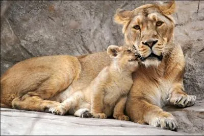 He sang about the females of this species!