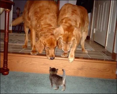 It's a universal feeling, many have shown it, don't give in an inch!