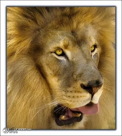 He shows a lot of authority, the White Witch, bof, not even afraid !