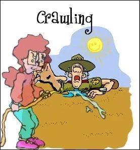 Where is he crawling?