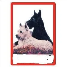 They are inseparable from this brand of whisky: