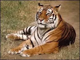 Tony the tiger was born in 1952. Which brand does he symbolize?