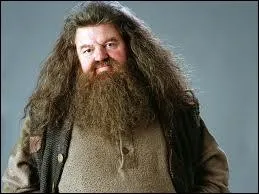 What do they call me?