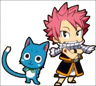 What does Natsu pay attention to despite appearances?