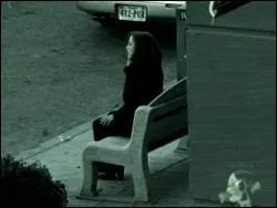 What Episode Is This