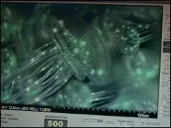 What Episode Is This