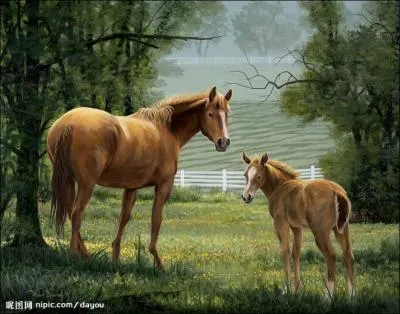 How many horses are there in this picture?