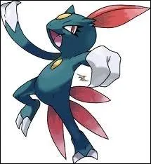 What type is this Pokemon? (Farfuret)