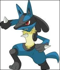 What type is this Pokemon? (Lucario)