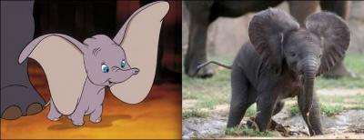 An elephant who flies, it is impossible you think? Not for Disney!