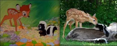 While discovering the world, Bambi meets a skunk who will become his friend, what name does he give her ?