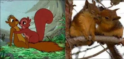 In which animated film can we see this couple of squirrels ?