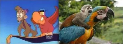 I'm going to overdo it again by asking you the name of this little monkey, Aladdin's companion!