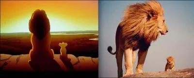 In The Lion King, I don't ask you the father's name, but the son's!