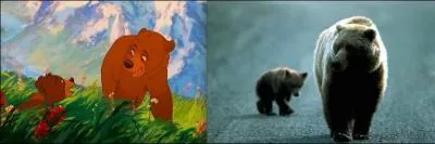 In the film Brother of the Bears, this young Indian turns into a bear himself. What's his name?