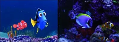 In Finding Nemo , what is the name of the blue fish with the yellow tail in the picture on the left?