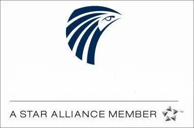 Airline companies located on the African continent: