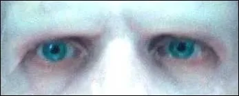 Whose eyes are they?