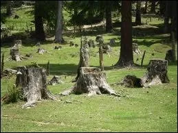 What should people do to protect their environment?