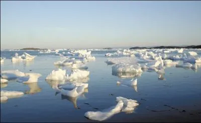 The Arctic' and the Antarctic's ice caps are melting because :