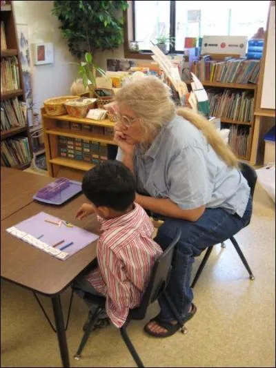 The role of the teacher