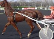 Quiz Voitures ... à cheval