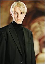 Which house is Draco in?