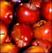 WA state's official state fruit is?