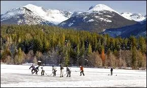 What is  shinny  a variation of?