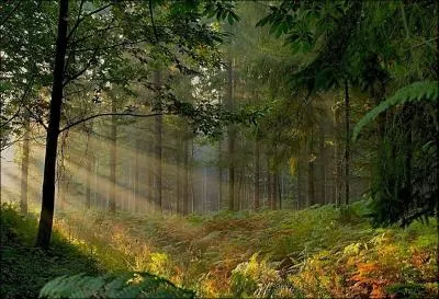 Since the middle of the 19th century, which Breton forest has been associated with the mythical Broceliande forest?