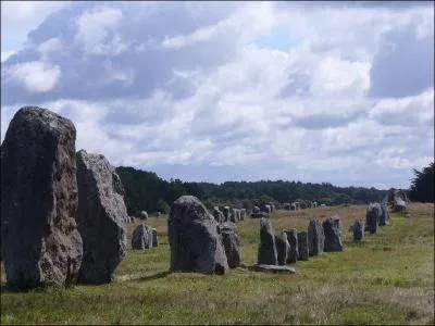 How high is the highest of the 2934 menhirs visible at Carnac?