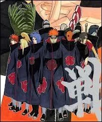 What is the name of this organization?