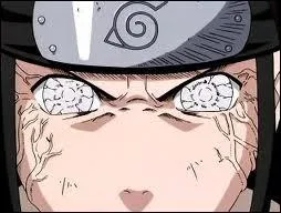 What clan possesses the Byakugan?