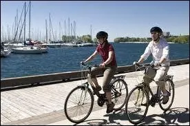 What is the web address for the New Brunswick Cycling Association?