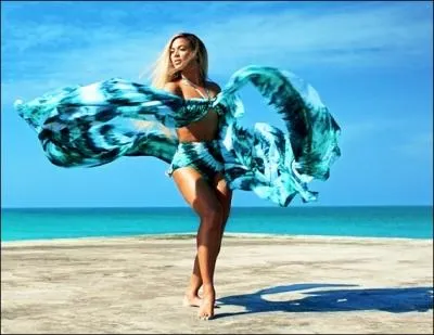 Having Beyonce as an egerie is a great opportunity for...