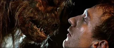 In this island, they have only one motto: Such is the law! 