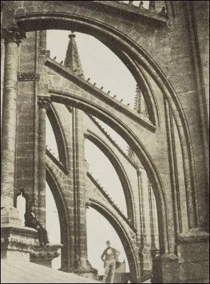 And these external elements that connect the roof to the buttresses?