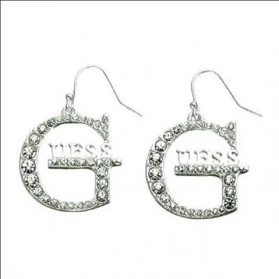 What does the logo below represent?