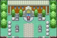 All generations combined, how many DIFFERENT members are there in Pokemon Leagues?