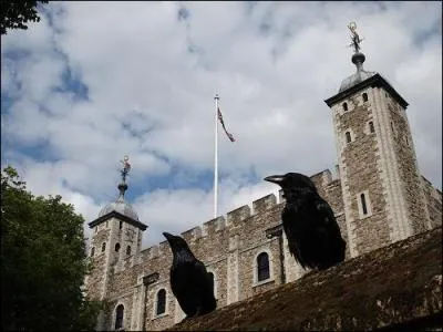 A superstition holds that   If the Tower of London ... fly away, the Tower will fall 